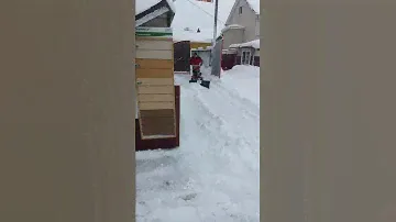 Отвал мотоблока Нева, Ока, Каскад, Луч